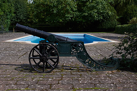 Cannon